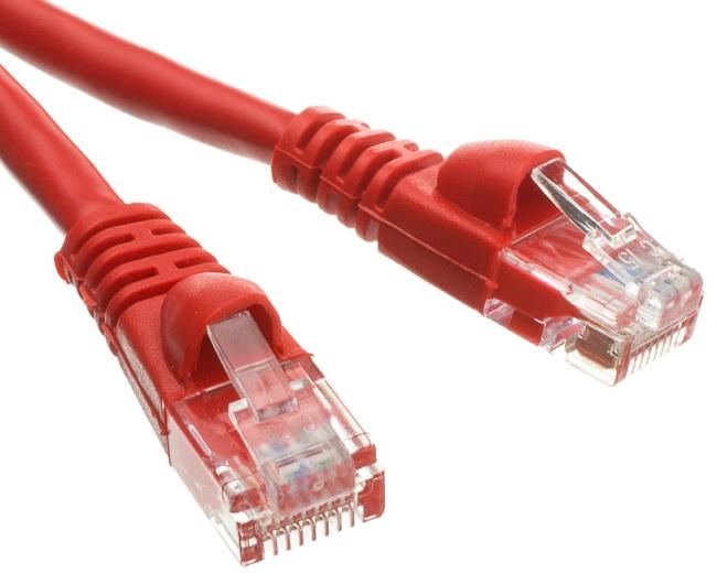 cat5er5m.jpg