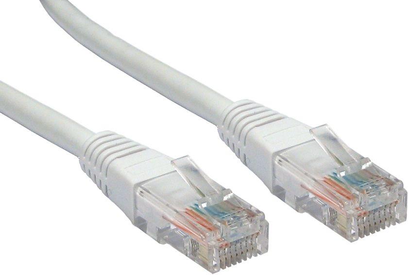 cat61m.jpg