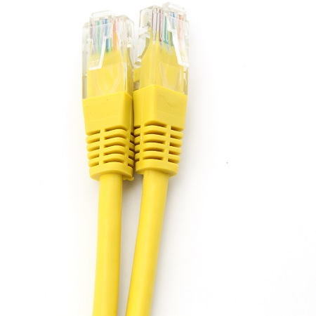 cat620cmy.jpg
