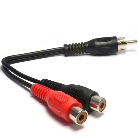 rca100.png