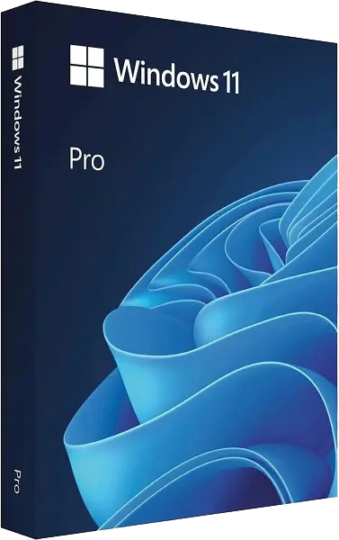 Windows 11 Pro